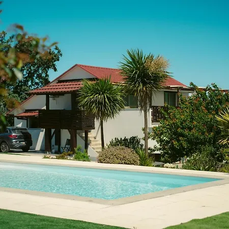 Pura - In Nature Oliveira do Hospital