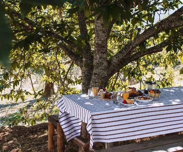 Hébergement de vacances Pura - In Nature Oliveira do Hospital