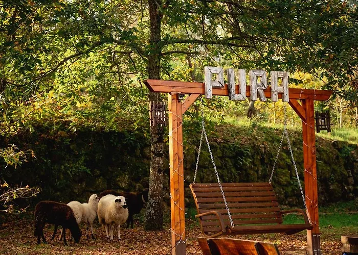 Pura - In Nature オリヴェイラ・ド・オスピタル